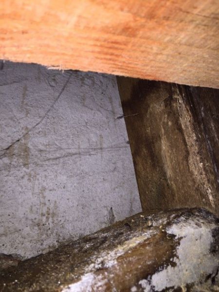 Wasserschaden_in_Siedenburg_27254_Mellinghausen_Leckage_in_Kaltwasserleitung_Ortung_mit_Druckverlust_Leckortung_4