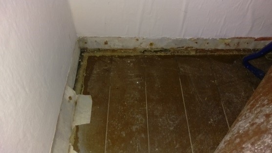 Wasserschaden_in_Warmsen_31606_Diepenau_Raddestorf_Leckage_in_der_Kaltwasserleitung_Ortung_Druckverlust_Leckortung_4