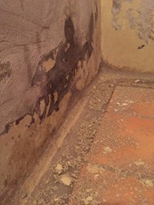 Wasserschaden_in_Wunstorf_30823_Garbsen_Leckage_in_Hauptwasserleitung_Defekt_an_der_Horizontalsperre_Vertikalsperre_9