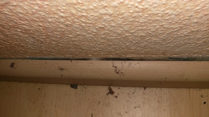Wasserschaden_in_Hilgermissen_27327_Martfeld_Leckage_in_Warmwasserleitung_Ortung_mit_Druckverlust_Leckortung_3