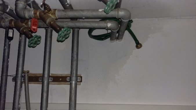 Wasserschaden_in_Hilgermissen_27327_Martfeld_Leckage_in_Warmwasserleitung_Ortung_mit_Druckverlust_Leckortung_6