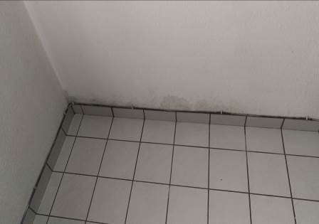 Wasserschaden_in_Stolzenau_31628_Landesbergen_Leckage_in_Kaltwasserleitung_Ortung_mit_Druckverlust_Leckortung_03