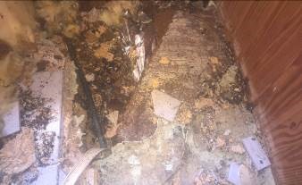 Leckortung_in_Celle_29221_Winsen_Aller_Leckage_in_Kaltwasserleitung_Ortung_mit_Druckverlust_Wasserschaden_1_2